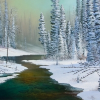 A New Morning Light