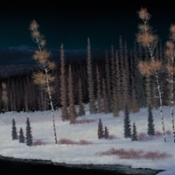 Nitescape