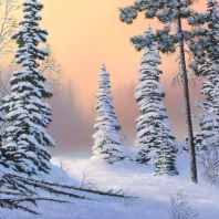Warm Light, Cool Air