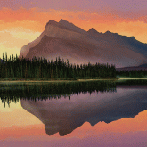 Rundle Reflections