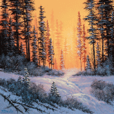 Distant Light