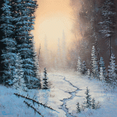 Winter's Quiet Light