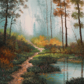 Woodland Trail Reflection