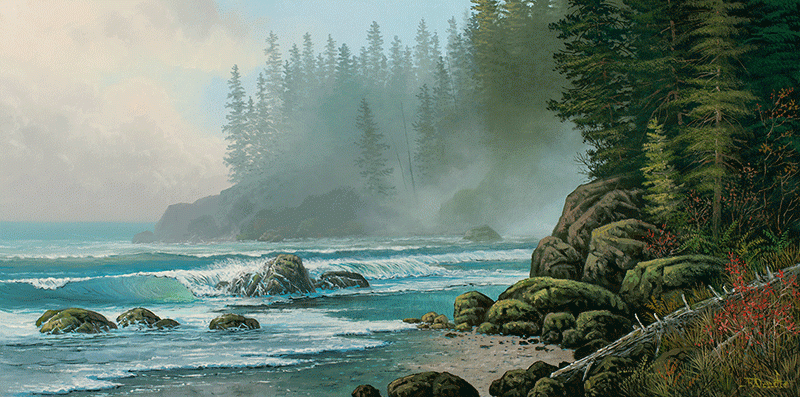 Misty Cove