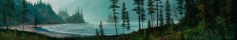 Sheltered Cove